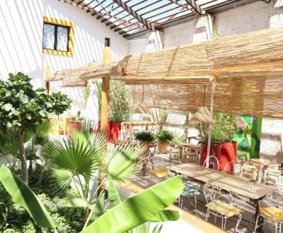 Agradable terraza con mobiliario exterior de este hotel boutique.