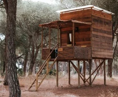 Coquetas casas en los árboles a cuatro metros del suelo.