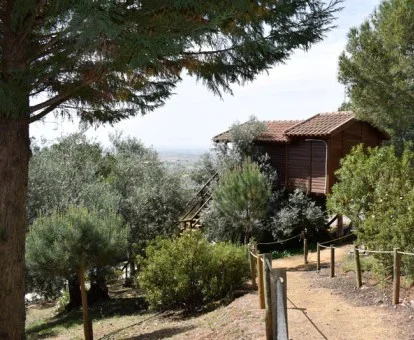 Una de las preciosas cabañas de madera en los árboles de este alojamiento rural.