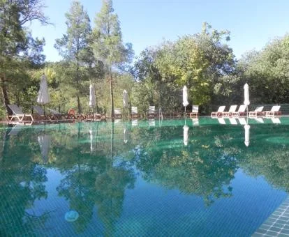 Espectacular piscina rodeada de árboles de este hotel con encanto.