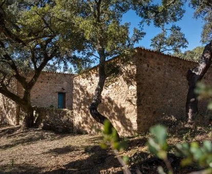 Acogedoras casas de este establecimiento rural en medio de la naturaleza.