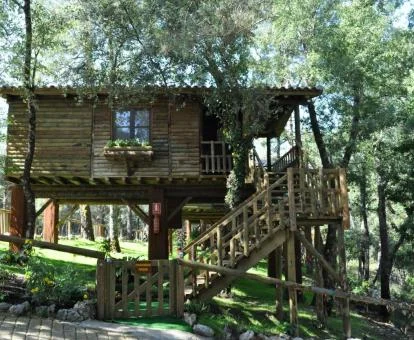 Una de las preciosas cabañas sobre los árboles ideales para parejas.