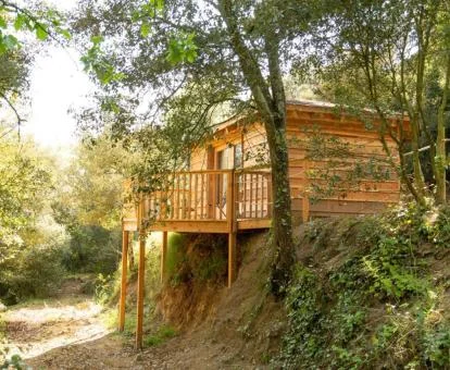 Una de las preciosas habitaciones independientes rodeadas de naturaleza de este alojamiento solo para adultos.