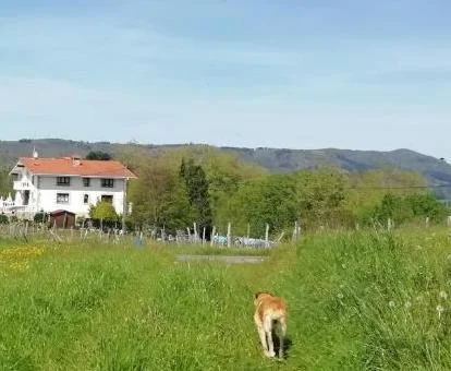 Edificio de este hotel rural en un tranquilo entorno para descansar.