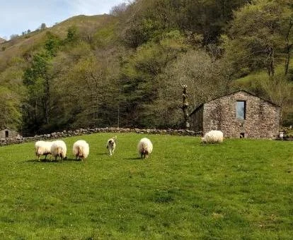 Fabulosa casa rústica aislada en un tranquilo entorno natural para disfrutar del campo.