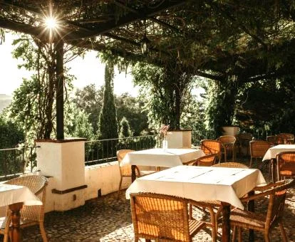 Agradable terraza con comedores exteriores y hermosa vegetación de este precioso hotel.