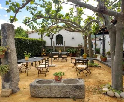 Agradable zona exterior ajardinada con mobiliario de este hotel boutique.