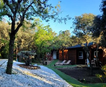 Hermoso establecimiento con cabañas rodeadas de vegetación.