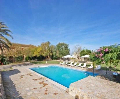 Agradable zona exterior con piscina rodeada de jardines de este hotel rural.