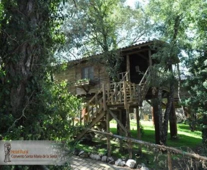 Preciosas cabañas en los árboles pertenecientes a un hotel rural en un hermoso entorno natural.