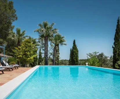 Agradable zona exterior con piscina de borde infinito y vistas a la naturaleza del hotel.
