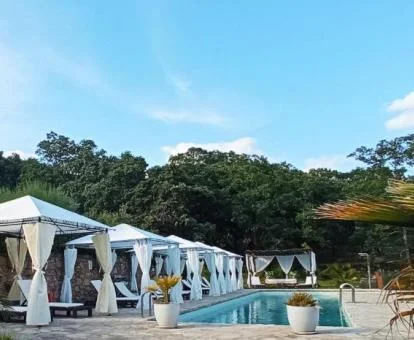 Hermosa zona exterior rodeada de vegetación con piscina y solarium de este alojamiento rural.
