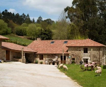 Agradable hotel boutique rural con amplia zona exterior y mobiliario.