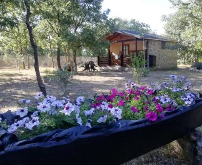 Una de las cabañas de este coqueto establecimiento rural en la naturaleza.