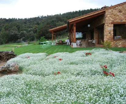 Acogedor hotel rural con amplias zonas verdes.