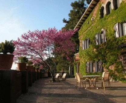 Hotel rural con zona exterior y vistas a la naturaleza.