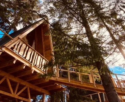 Una de las preciosas cabañas en los árboles de este hotel rural con varios tipos de alojamiento.